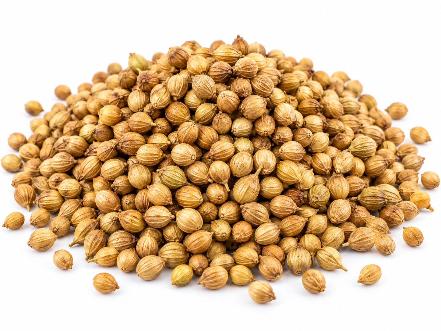Coriander seeds — whole dried seeds, Indian origin, Rajasthan and Madhya Pradesh